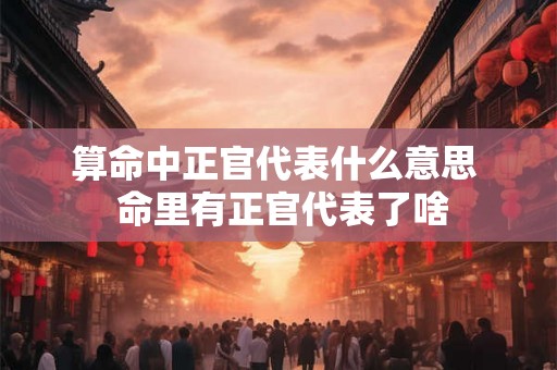 算命中正官代表什么意思  命里有正官代表了啥