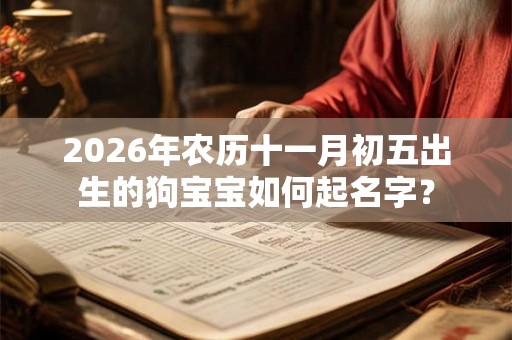 2026年农历十一月初五出生的狗宝宝如何起名字? 2026年农历十一月初五出生的狗宝宝如何起名字?