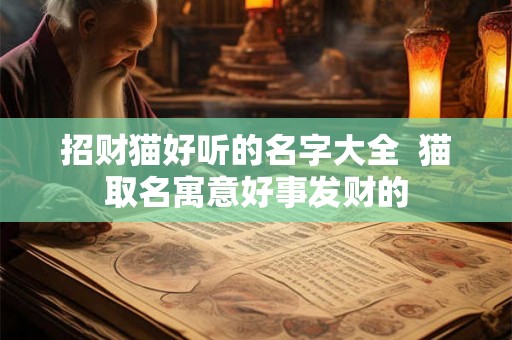 招财猫好听的名字大全  猫取名寓意好事发财的
