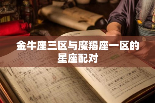 金牛座三区与魔羯座一区的星座配对