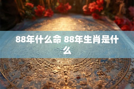 88年什么命 88年生肖是什么