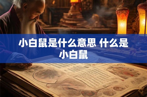 小白鼠是什么意思 什么是小白鼠