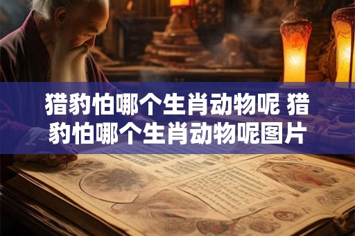 猎豹怕哪个生肖动物呢 猎豹怕哪个生肖动物呢图片