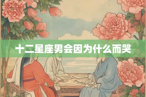 十二星座男会因为什么而哭