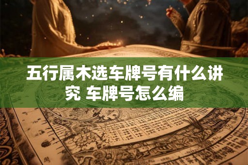 五行属木选车牌号有什么讲究 车牌号怎么编