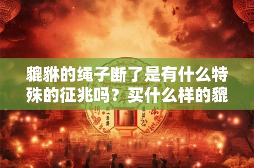 貔貅的绳子断了是有什么特殊的征兆吗？买什么样的貔貅最好？