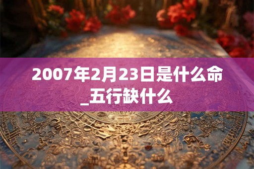 2007年2月23日是什么命_五行缺什么