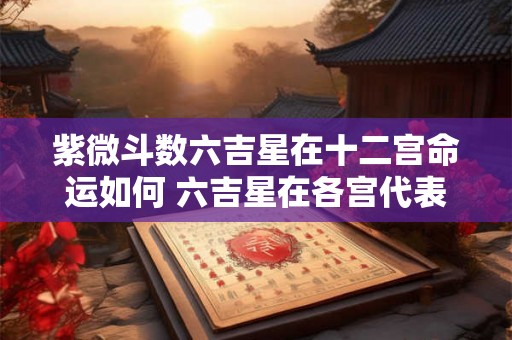 紫微斗数六吉星在十二宫命运如何 六吉星在各宫代表什么 紫微斗数六吉星在十二宫命运如何 六吉星在各宫代表什么