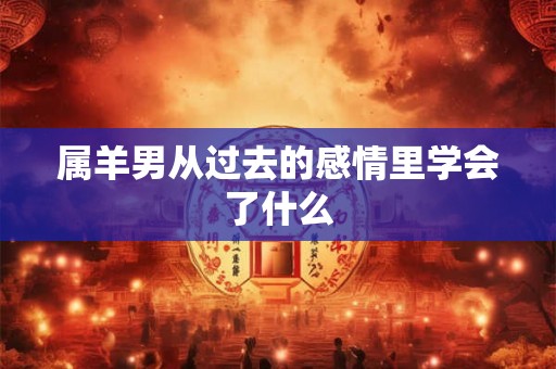 属羊男从过去的感情里学会了什么