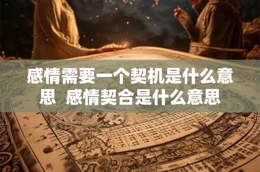 感情需要一个契机是什么意思  感情契合是什么意思