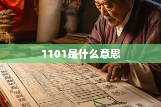 1101是什么意思 1101是什么意思