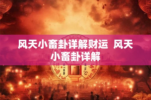 风天小畜卦详解财运  风天小畜卦详解