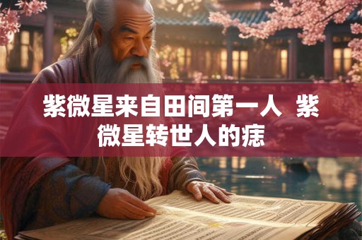 紫微星来自田间第一人  紫微星转世人的痣