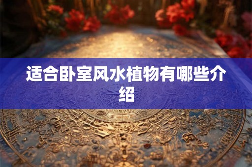 适合卧室风水植物有哪些介绍
