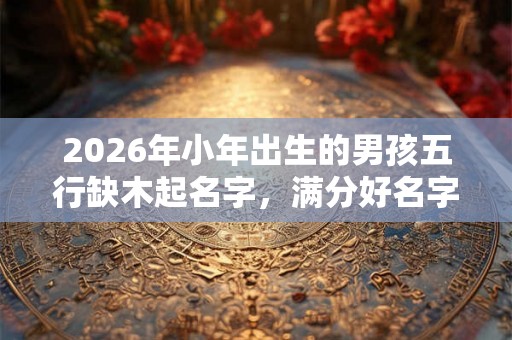 2026年小年出生的男孩五行缺木起名字，满分好名字推荐