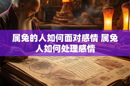 属兔的人如何面对感情 属兔人如何处理感情 属兔的人如何面对感情 属兔人如何处理感情