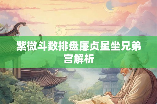 紫微斗数排盘廉贞星坐兄弟宫解析