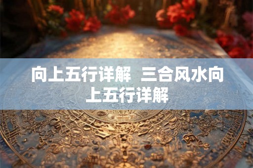 向上五行详解  三合风水向上五行详解