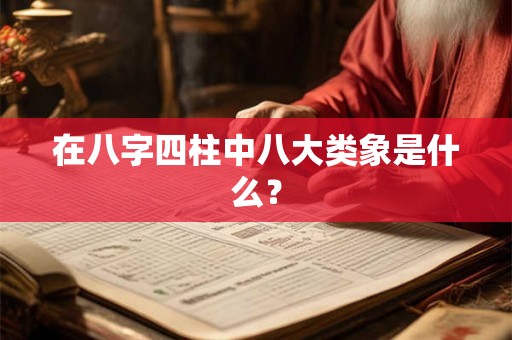 在八字四柱中八大类象是什么？