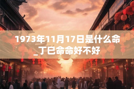 1973年11月17日是什么命_丁巳命命好不好