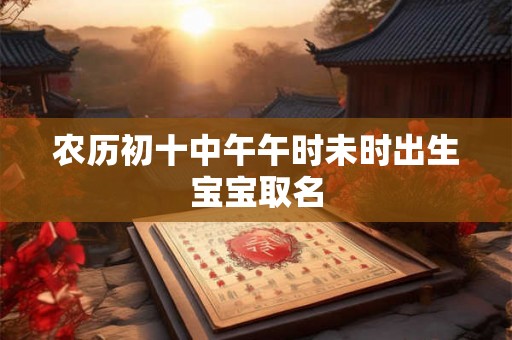 农历初十中午午时未时出生宝宝取名