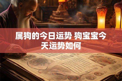 属狗的今日运势 狗宝宝今天运势如何