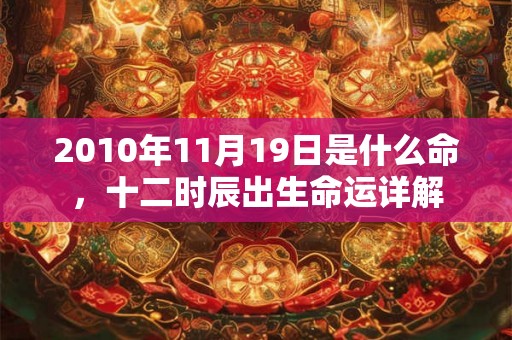 2010年11月19日是什么命，十二时辰出生命运详解
