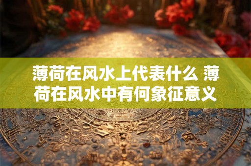 薄荷在风水上代表什么 薄荷在风水中有何象征意义