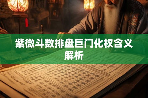 紫微斗数排盘巨门化权含义解析