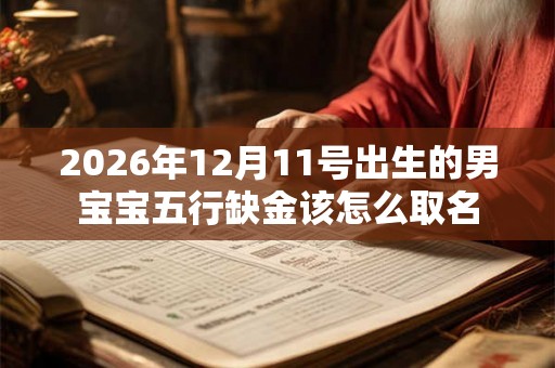 2026年12月11号出生的男宝宝五行缺金该怎么取名