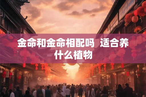金命和金命相配吗  适合养什么植物