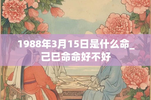 1988年3月15日是什么命_己巳命命好不好