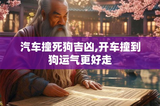 汽车撞死狗吉凶,开车撞到狗运气更好走