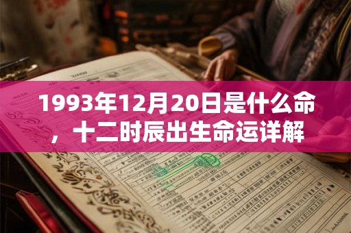 1993年12月20日是什么命，十二时辰出生命运详解