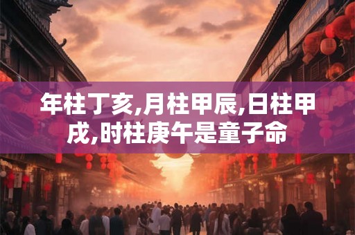 年柱丁亥,月柱甲辰,日柱甲戌,时柱庚午是童子命