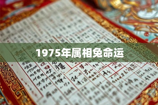 1975年属相兔命运