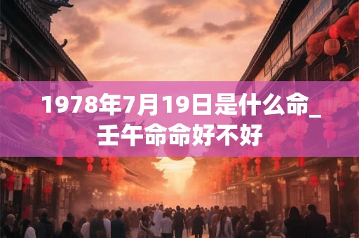 1978年7月19日是什么命_壬午命命好不好