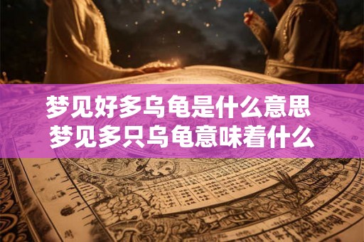梦见好多乌龟是什么意思 梦见多只乌龟意味着什么 梦见好多乌龟是什么意思 梦见多只乌龟意味着什么