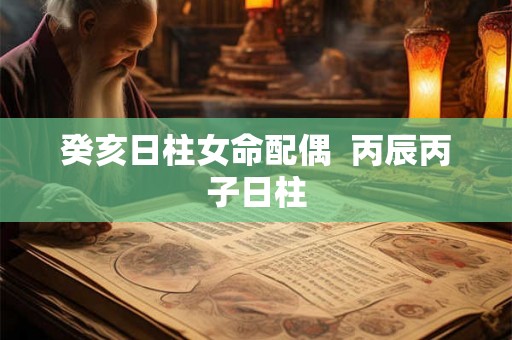 癸亥日柱女命配偶  丙辰丙子日柱