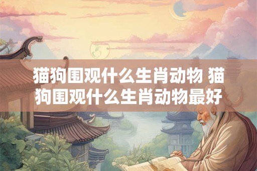 猫狗围观什么生肖动物 猫狗围观什么生肖动物最好 猫狗围观什么生肖动物 猫狗围观什么生肖动物最好