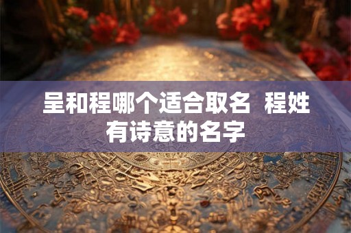 呈和程哪个适合取名  程姓有诗意的名字