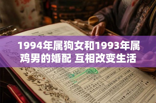 1994年属狗女和1993年属鸡男的婚配 互相改变生活幸福