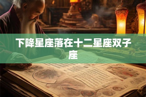 下降星座落在十二星座双子座