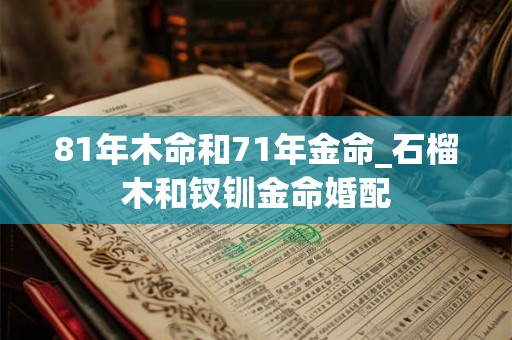81年木命和71年金命_石榴木和钗钏金命婚配