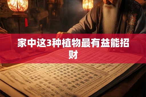 家中这3种植物最有益能招财