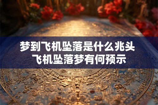 梦到飞机坠落是什么兆头 飞机坠落梦有何预示 梦到飞机坠落是什么兆头 飞机坠落梦有何预示