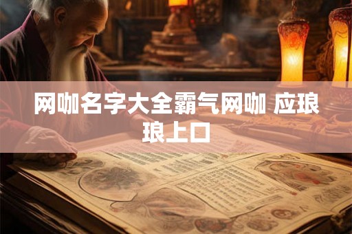 网咖名字大全霸气网咖 应琅琅上口
