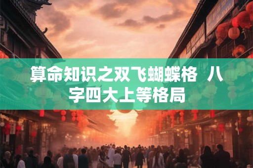算命知识之双飞蝴蝶格  八字四大上等格局