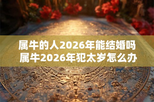 属牛的人2026年能结婚吗 属牛2026年犯太岁怎么办