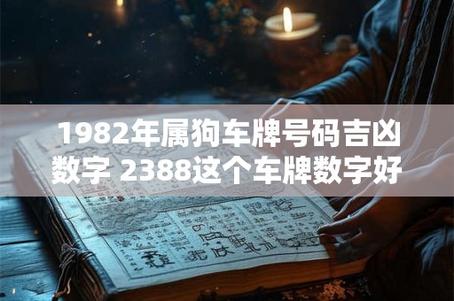 1982年属狗车牌号码吉凶数字 2388这个车牌数字好不好